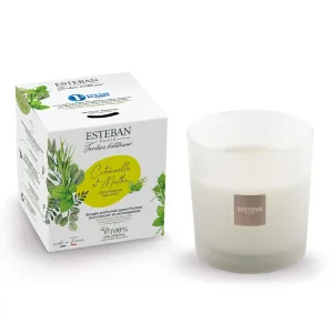 Vela Perfumada ESTEBAN PARIS Citronnelle et Menthe 450g