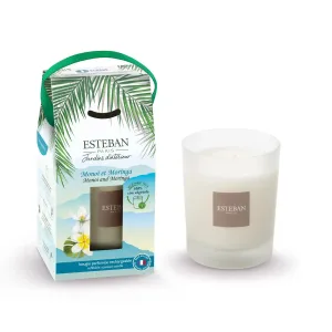 Vela Perfumada ESTEBAN PARIS Monoi et Moringa 180g