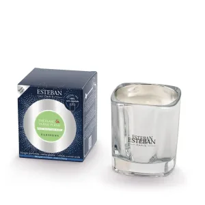 Vela Perfumada ESTEBAN PARIS Thé Blanc & Ylang Ylang 170g
