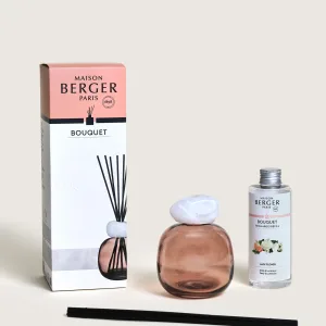 Mikado Perfumado LAMPE BERGER Minéral Prune 125ml