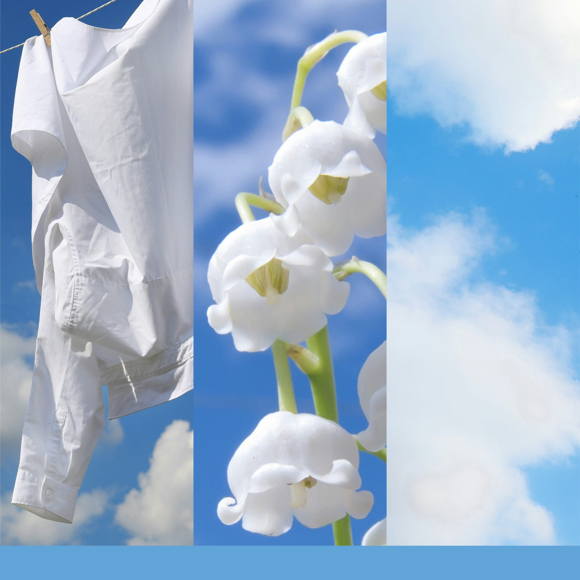 Vela Yankee Candle Clean Cotton 368 gr