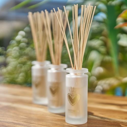 Mikado ESTEBAN PARIS Eau d´