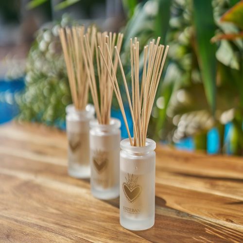 Mikado ESTEBAN PARIS Eau d´