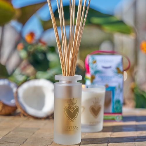 Mikado ESTEBAN PARIS Eau d´