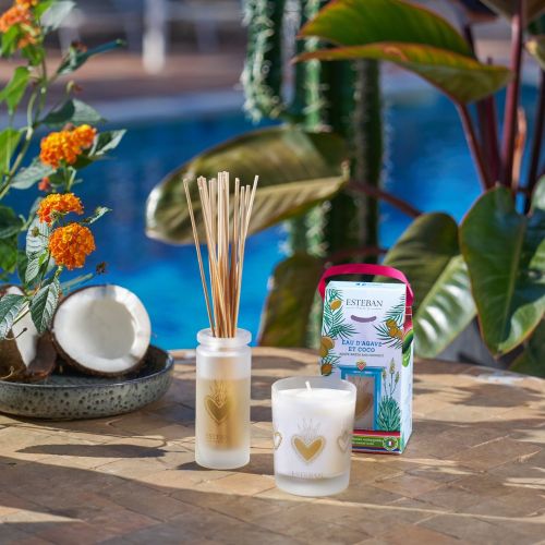 Mikado ESTEBAN PARIS Eau d´