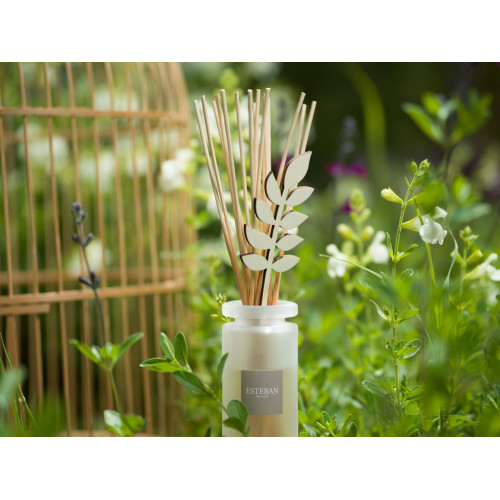 Mikado ESTEBAN PARIS Fraicheur de Lin 100ml