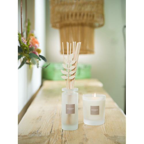 Mikado ESTEBAN PARIS Fraicheur de Lin 100ml