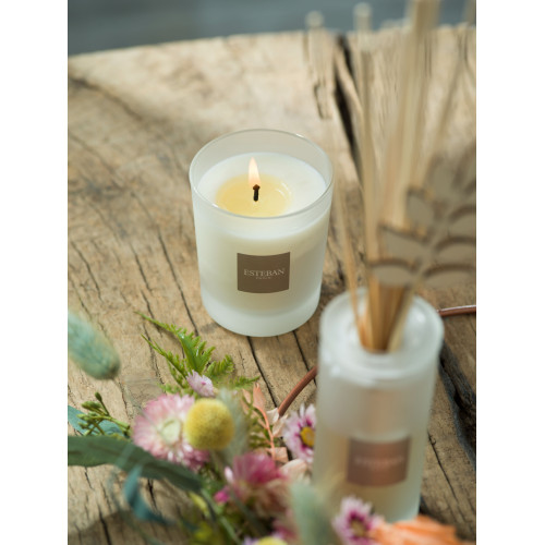 Mikado ESTEBAN PARIS Fraicheur de Lin 100ml