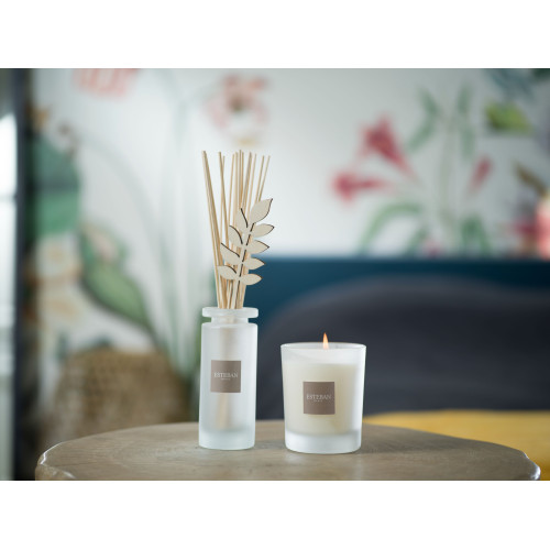 Mikado ESTEBAN PARIS Fraicheur de Lin 100ml