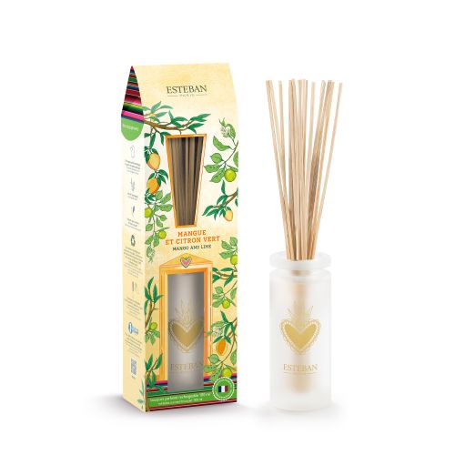 Mikado ESTEBAN PARIS Mangue et Citron Vert 100ml