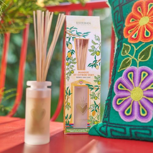 Mikado ESTEBAN PARIS Mangue et Citron Vert 100ml