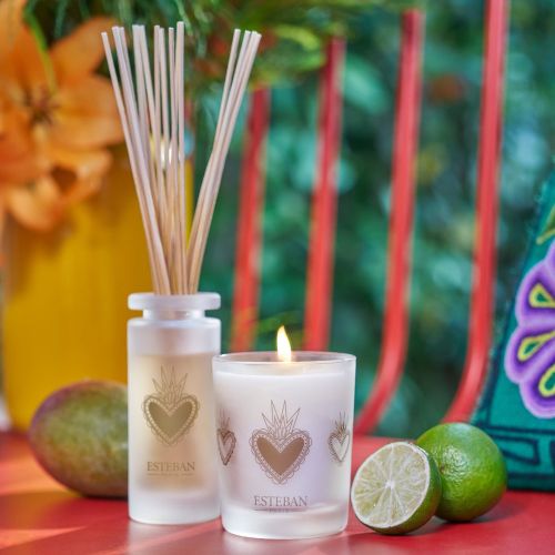 Mikado ESTEBAN PARIS Mangue et Citron Vert 100ml