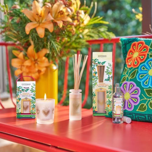 Mikado ESTEBAN PARIS Mangue et Citron Vert 100ml