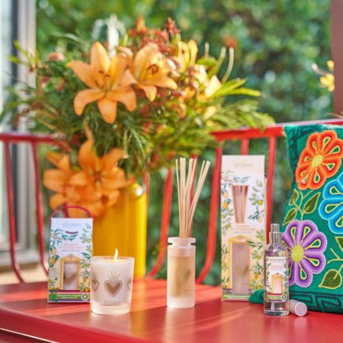 Mikado ESTEBAN PARIS Mangue et Citron Vert 100ml