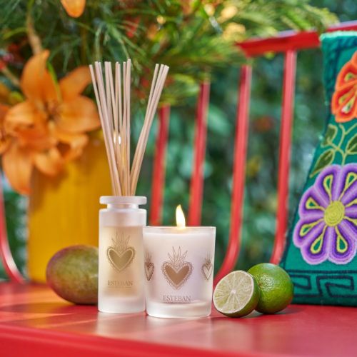 Mikado ESTEBAN PARIS Mangue et Citron Vert 100ml