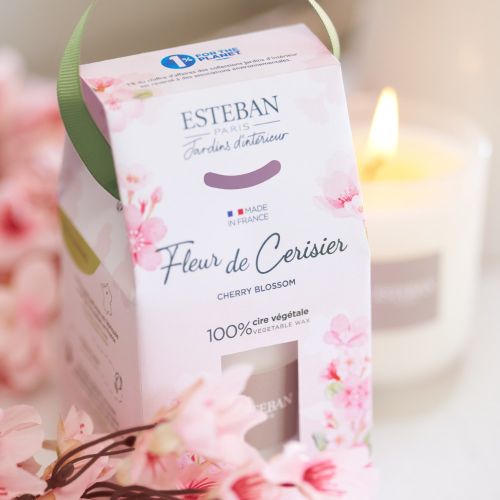 Vela Perfumada ESTEBAN PARIS Fleur de Cerisier 180g