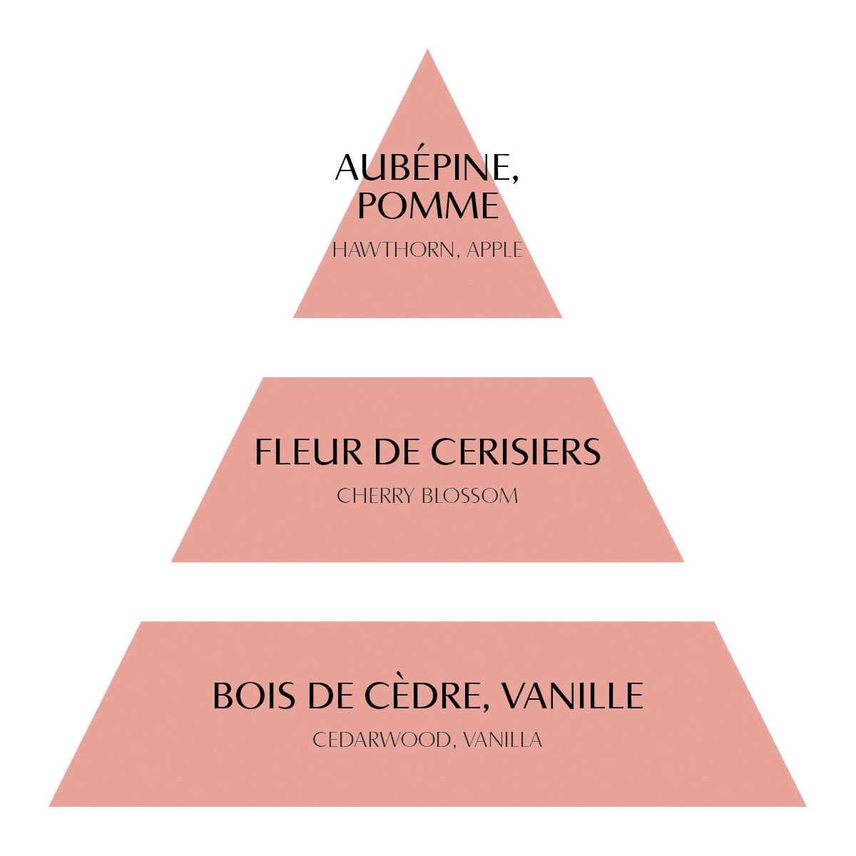 Cofre Pack 5 Mathilde M. Fleur de Cerisier