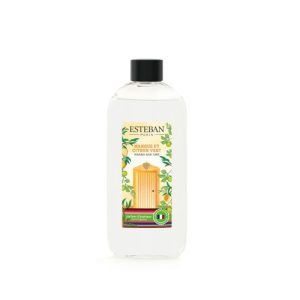 Recarga Mikado ESTEBAN PARIS Mangue et Citron Vert 200ml